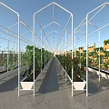 Garden Landscape Featuring Greenhouse Metal Frame With Tomato Plants And Growing Beds