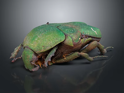 Green Beetle as a Flying Insect with Shiny Exoskeleton and Detailed Features 3d model