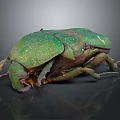 Green Beetle as a Flying Insect with Shiny Exoskeleton and Detailed Features 3d model