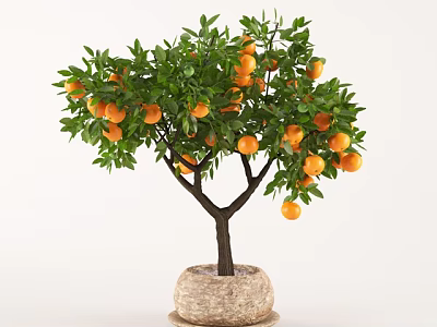 Bonsai Potted Orange Tree With Lush Green Leaves And Ripe Fruits In Stone Pot 3d model