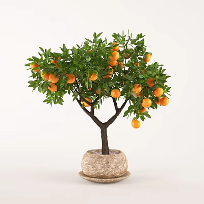 Bonsai Potted Orange Tree With Lush Green Leaves And Ripe Fruits In Stone Pot 3d model