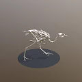 Detailed Bird Skeleton 3D Model with Anatomical Details and Standing Pose
