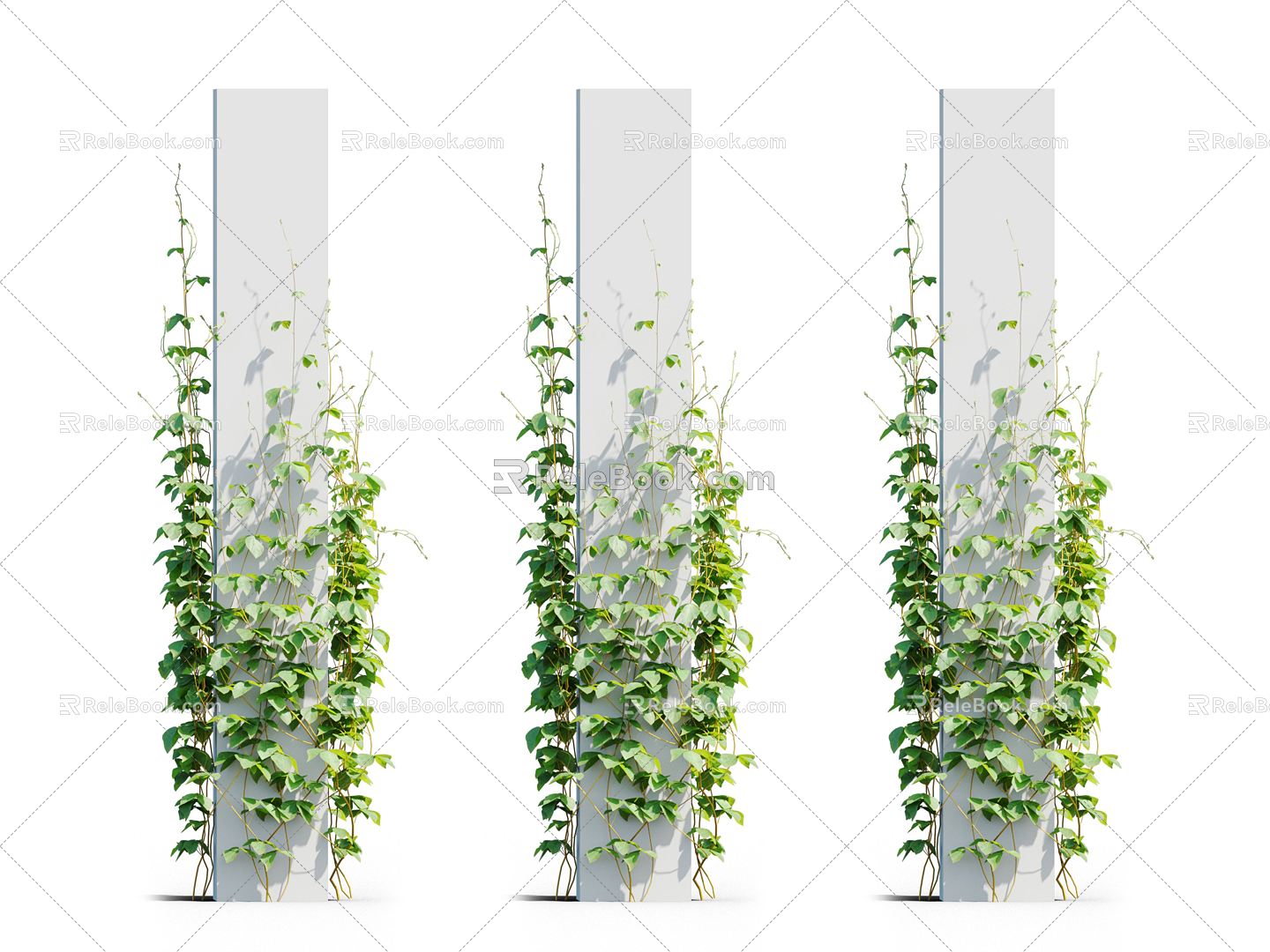 Modern Vine Vine Plant 3d model