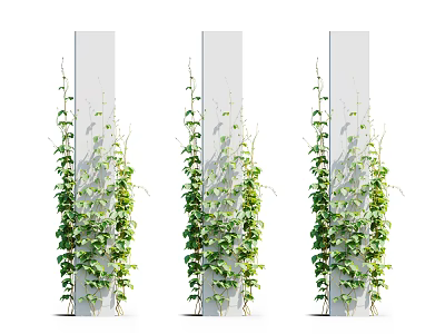 Lush Green Vines Growing On White Columns With Natural Decorative Leaves 3d model