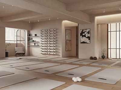 Serene Yoga Studio Interior With Yoga Mats Storage Racks And Natural Light 3d model