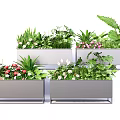 Modern Rectangular Metal Flower Planters With Various Green Plants And Flowers