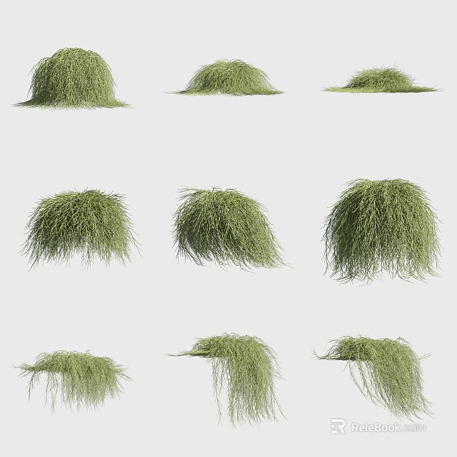 Different Shaped Green Grass Tufts Arranged on White Background with Various Forms 3d model