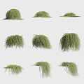 Different Shaped Green Grass Tufts Arranged on White Background with Various Forms 3d model