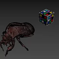 Closeup View Of Cicada Exuvia And Colorful Rubik's Cube On Gray Background