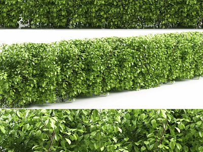 Lush Green Shrubs Enhance Garden Landscape With Dense Foliage And Vibrant Leaves 3d model