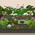 Natural Courtyard Garden With Lotus Flowers Lily Pads And Aquatic Water Features