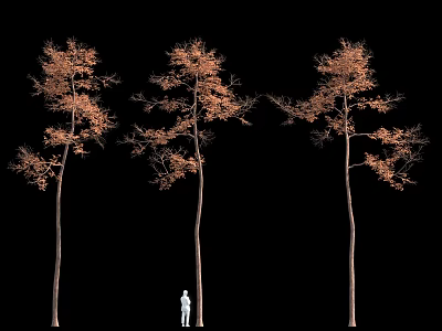 Three Trees With Orange Red Leaves And White Figure On Black Background 3d model
