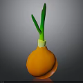 Fresh Ripe Orange Onion With Green Leafy Tops On Dark Surface