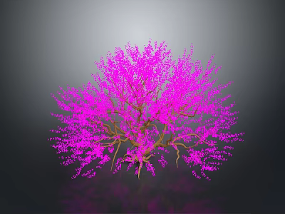 Vibrant Pink Flowering Tree With Brown Branches And Pink Blossoms On Dark Background 3d model