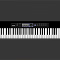 Musical Instruments Digital Electronic Keyboard With Black And White Piano Keys