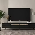 Modern Black TV Stand with Metal Legs Woven Doors and TV Potted Plant Decorative Items