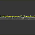 Lush Green Plant Wall with Yellow Accents Against Gray Background and Reflective Surface