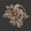 Pink Cherry Blossom Tree With Curved Trunk And Decorative Stone Base