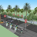 Municipal Road with Palm Trees Pedestrians Vehicles Street Lamps and Green Belts