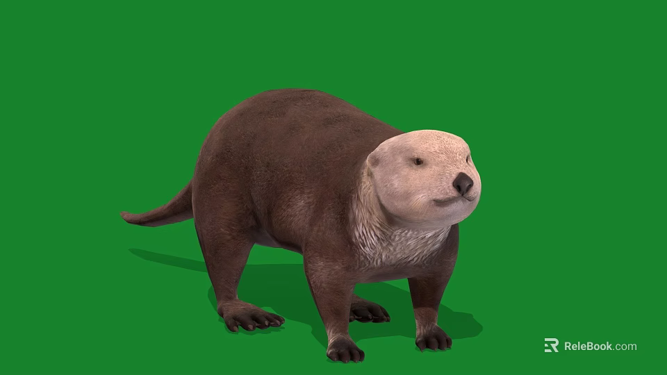 Realistic 3D Otter Model With Brown Fur Standing On Green Background 3d model 