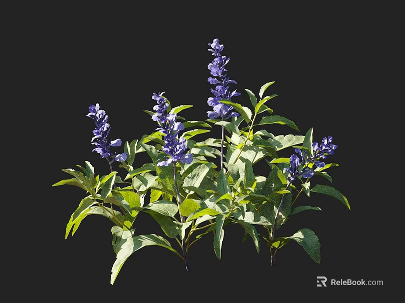 Vibrant Purple Flowers With Lush Green Leaves On Black Background 3d model 