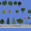 Various Arbor Trees With Diverse Leaf Colors And Shapes For Landscape Design 3d model