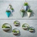 Nordic Wall Decoration Plant Wall Decoration Pendant 3d model