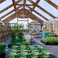 Rural Greenhouse Landscape with Wooden Frame Glass Ceiling and Growing Vegetables Flowers