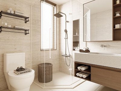 Toilet Shower Room Toilet Washbasin Shower Partition Shower Room model