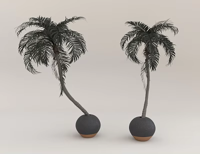 Two Palm Trees With Curved Trunks Planted In Black Spherical Pots Having Brown Bases 3d model