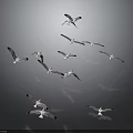 Flock of Seagulls Flying in Dynamic Formation Against Gray Background