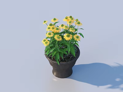 Decorative Potted Plant With Yellow Flowers Green Leaves In Black Ceramic Pot 3d model