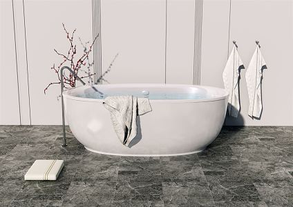 Modern Bathtub 3d model