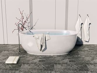 Modern Bathtub 3d model