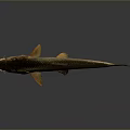 Realistic Toy Fish Model With Detailed Scales And Lifelike Design