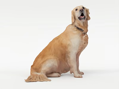 Green Iguana Reptile With Scaly Skin Perched On Tree Branch In Natural Habitat 3d model