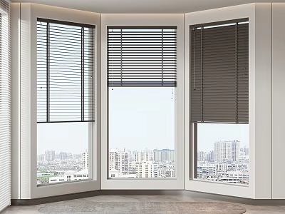 Blinds On Bay Window With City View In Different States 3d model