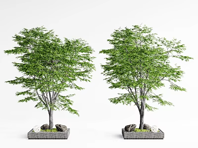 Two Green Trees in Stone Tree Planters With Decorative Stones at Base 3d model