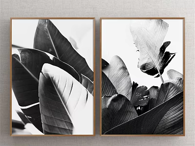 Black And White Botanical Leaf Prints Framed Wall Art Decor 3d model