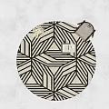 Modern Round Carpet 3d model
