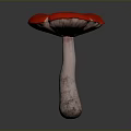 Red Mushroom Plant With Shiny Vibrant Red Cap And Light Colored Stem On Dark Background