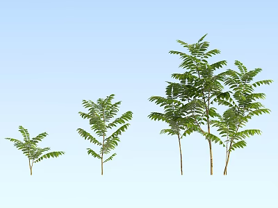 Green Leafy Plants In Different Heights With Lush Foliage Against Blue Sky 3d model