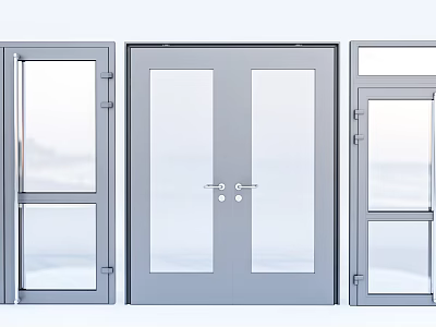 Gray Glass Doors With Single And Double Panel Design Features 3d model