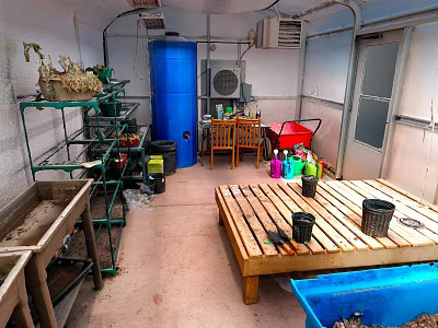 Indoor Gardening Space With Metal Shelves Plants Blue Barrel Wooden Table Flower Pots Red Cart 3d model