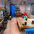 Indoor Gardening Space With Metal Shelves Plants Blue Barrel Wooden Table Flower Pots Red Cart