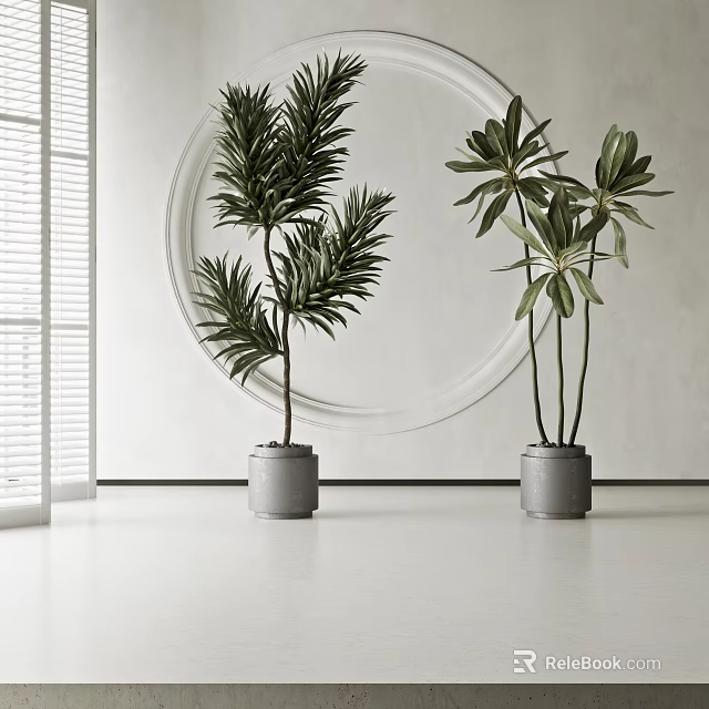 Modern Indoor Potted Plants in Gray Pots with White Wall Circular Decor and Window Blinds 3d model 