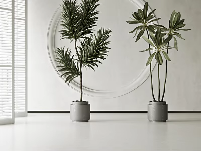 Modern Indoor Potted Plants in Gray Pots with White Wall Circular Decor and Window Blinds 3d model