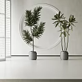 Modern Indoor Potted Plants in Gray Pots with White Wall Circular Decor and Window Blinds
