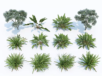Various Types Of Garden Shrubs For Landscaping And Outdoor Design 3d model