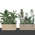 Wooden Rectangular Planters Filled With Various Potted Plants Large Leaves Cacti And Palm Plants